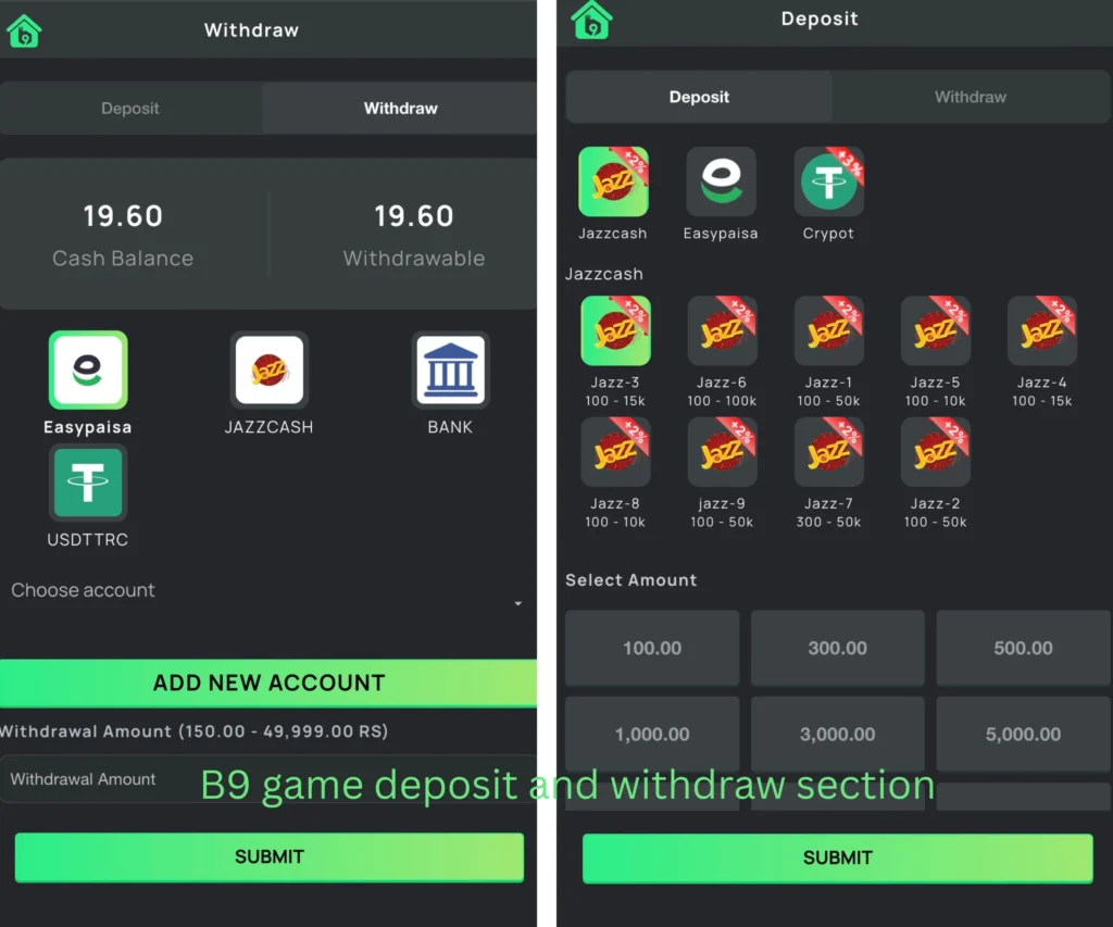 the both images shows b9 game payment methods
